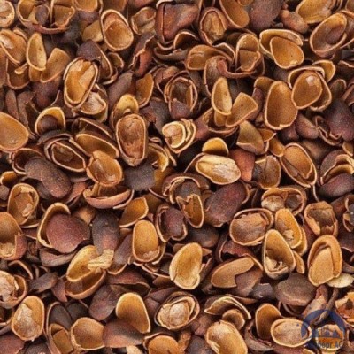 Скорлупа Кедрового Ореха (Barus Nut Shell) купить в Филиал в Астане ПКФ "Айсберг АС"