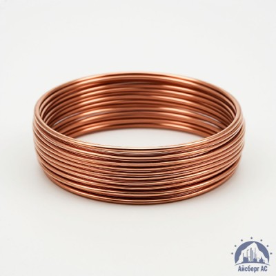 Проволока бронзовая 0.25 мм БрБ2 ГОСТ 15834-77 купить в Астане