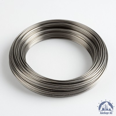 Проволока вольфрамовая 10,6 мкм ВМ купить в Астане