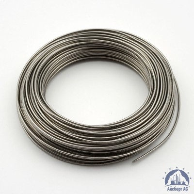 Проволока 0,03-Х20Н80-ВИ ГОСТ 8803-89 купить в Астане