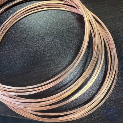 Прокладка медная уплотнительная 12х16-II s=1,5 ГОСТ 19752-84 купить в Астане