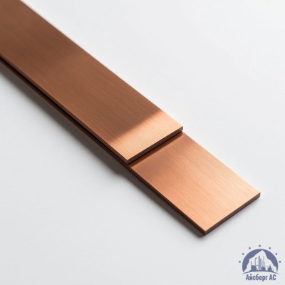 Полоса медная 100х10 мм М1Т ГОСТ 434-78 купить в Астане