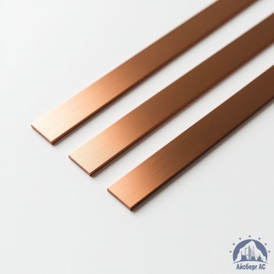 Полоса медная 100х10 мм ШМТ ГОСТ 434-78 купить в Астане