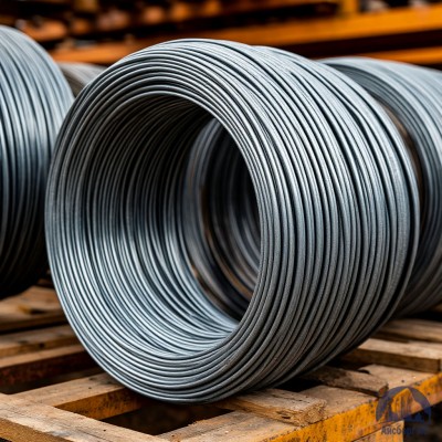 Проволока   1-П-1-30 ГОСТ 5663-79 купить в Астане