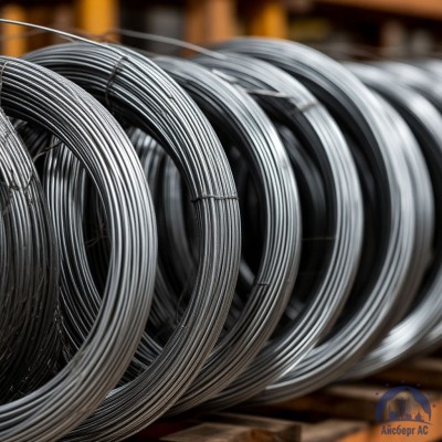 Проволока 1,2 мм 12ХМ ГОСТ 18143-72 купить в Астане