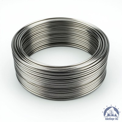 Проволока круглая 0,2-П-2-55 ГОСТ 3875-83 купить в Астане