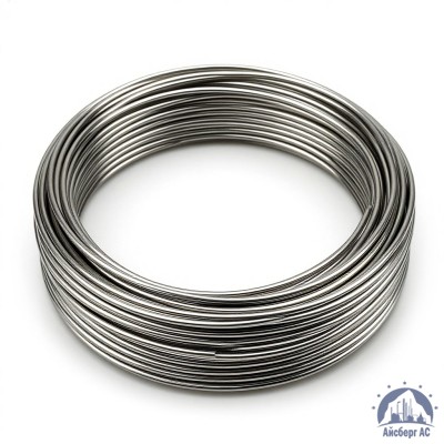 Проволока круглая 0,2-П-2-65Г ГОСТ 3875-83 купить в Астане