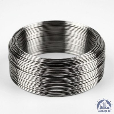 Проволока круглая 0,2-П-2-70 ГОСТ 3875-83 купить в Астане