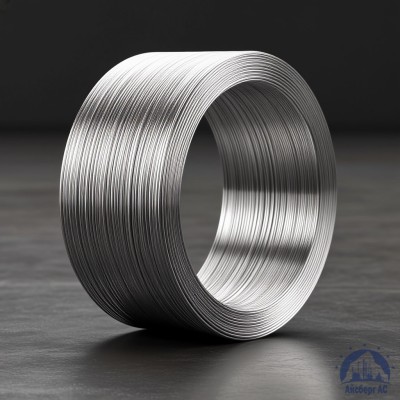 Алюминиевая сварочная проволока 1,8 мм СвАМГ6 купить в Астане