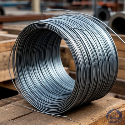 Проволока   1-1-25 ГОСТ 5663-79 купить в Астане