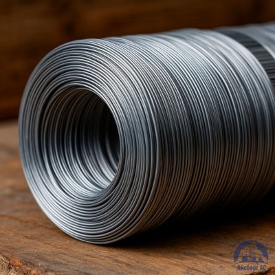 Проволока   1-2-15кп ГОСТ 5663-79 купить в Астане