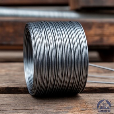 Проволока   1-2-30 ГОСТ 5663-79 купить в Астане