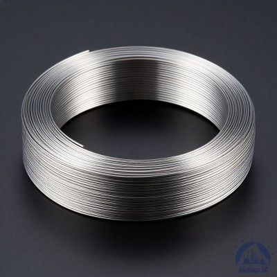 Проволока титановая 0,8 мм ВТ20-2СВ ГОСТ 27265-87 купить в Астане