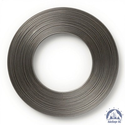 Проволока титановая 2 мм 7М купить в Астане