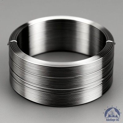Проволока титановая 2 мм ВТ1-0 купить в Астане