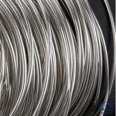 Проволока серебряная Ср 999 ГОСТ 7222-75 купить в Астане