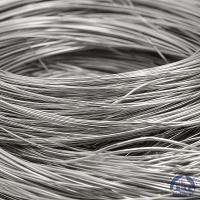 Проволока серебряная СрМ 925 ТУ 48-1-350-85 купить в Астане