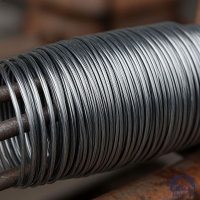 Проволока свинцовая 10 мм С2 купить в Астане