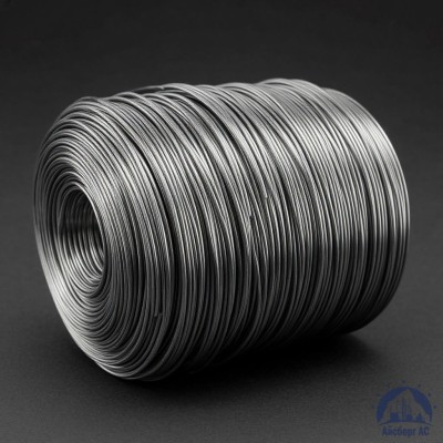 Проволока свинцовая 2 мм С1 купить в Астане