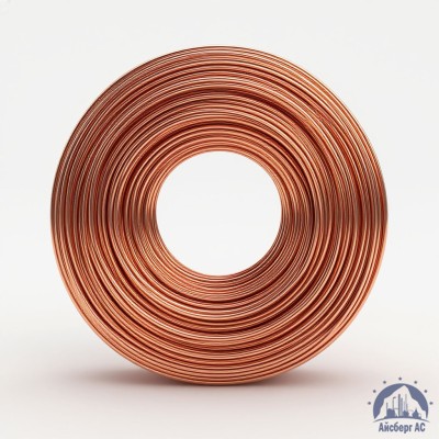 Проволока сварочная ДКРХМ 2 БТ МНЖКТ5-1-0,2-0,2 ГОСТ 16130-90 купить в Астане