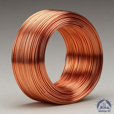 Проволока сварочная ДКРХМ 2 БТ МСр1 ГОСТ 16130-90 купить в Астане