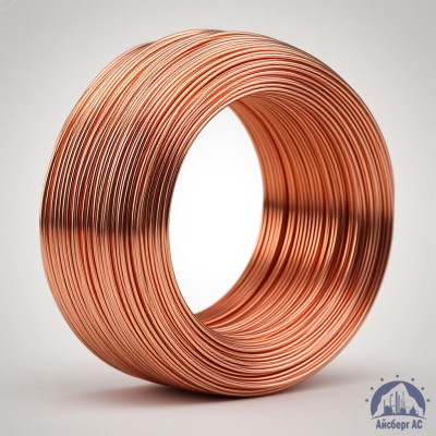 Проволока сварочная ДКРХМ 2,5 БТ МНЖКТ5-1-0,2-0,2 ГОСТ 16130-90 купить в Астане