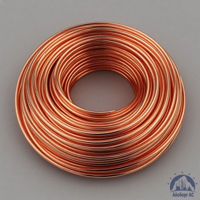 Проволока сварочная ДКРХМ 2,5 БТ МСр1 ГОСТ 16130-90 купить в Астане