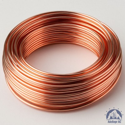 Проволока сварочная ДКРХМ 1,4 БТ МНЖКТ5-1-0,2-0,2 ГОСТ 16130-90 купить в Астане