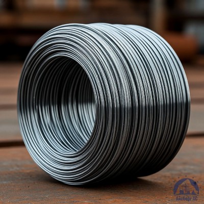 Проволока   1-П-2-10 ГОСТ 5663-79 купить в Астане