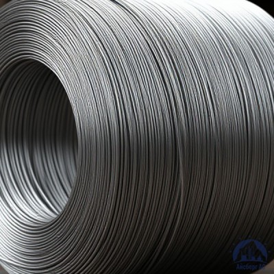 Проволока   1-П-2-45 ГОСТ 5663-79 купить в Астане