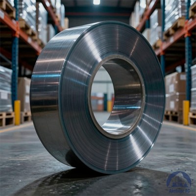Лента нихромовая 1х14 мм х15н60 нихром купить в Астане